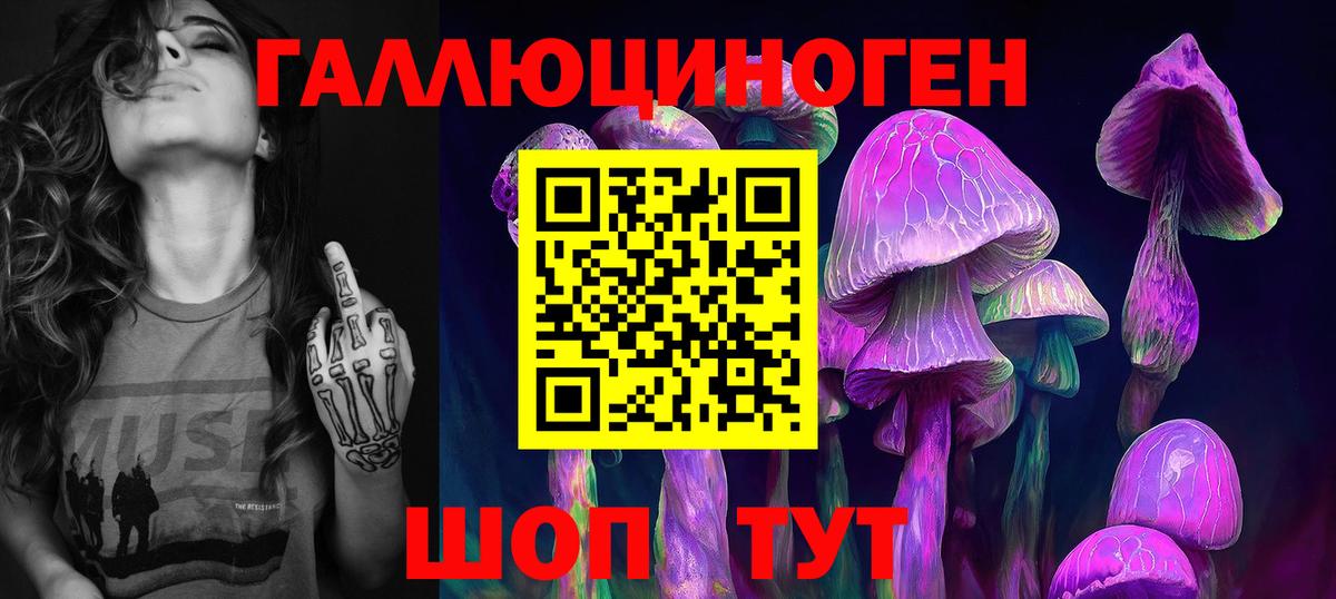 Галлюциногенные грибы Cubensis  Вход с VPN  Ноябрьск 