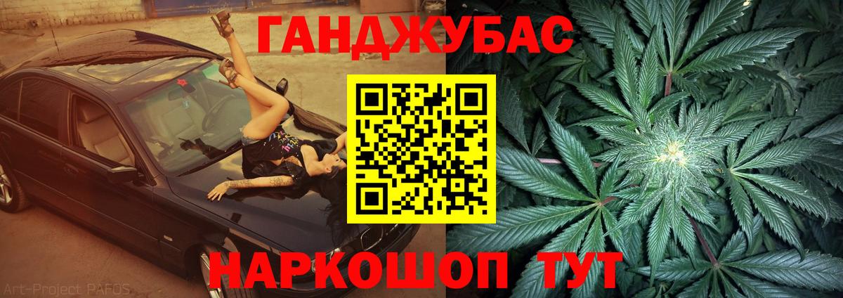 Каннабис сатива Ноябрьск